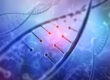 DNA Base
